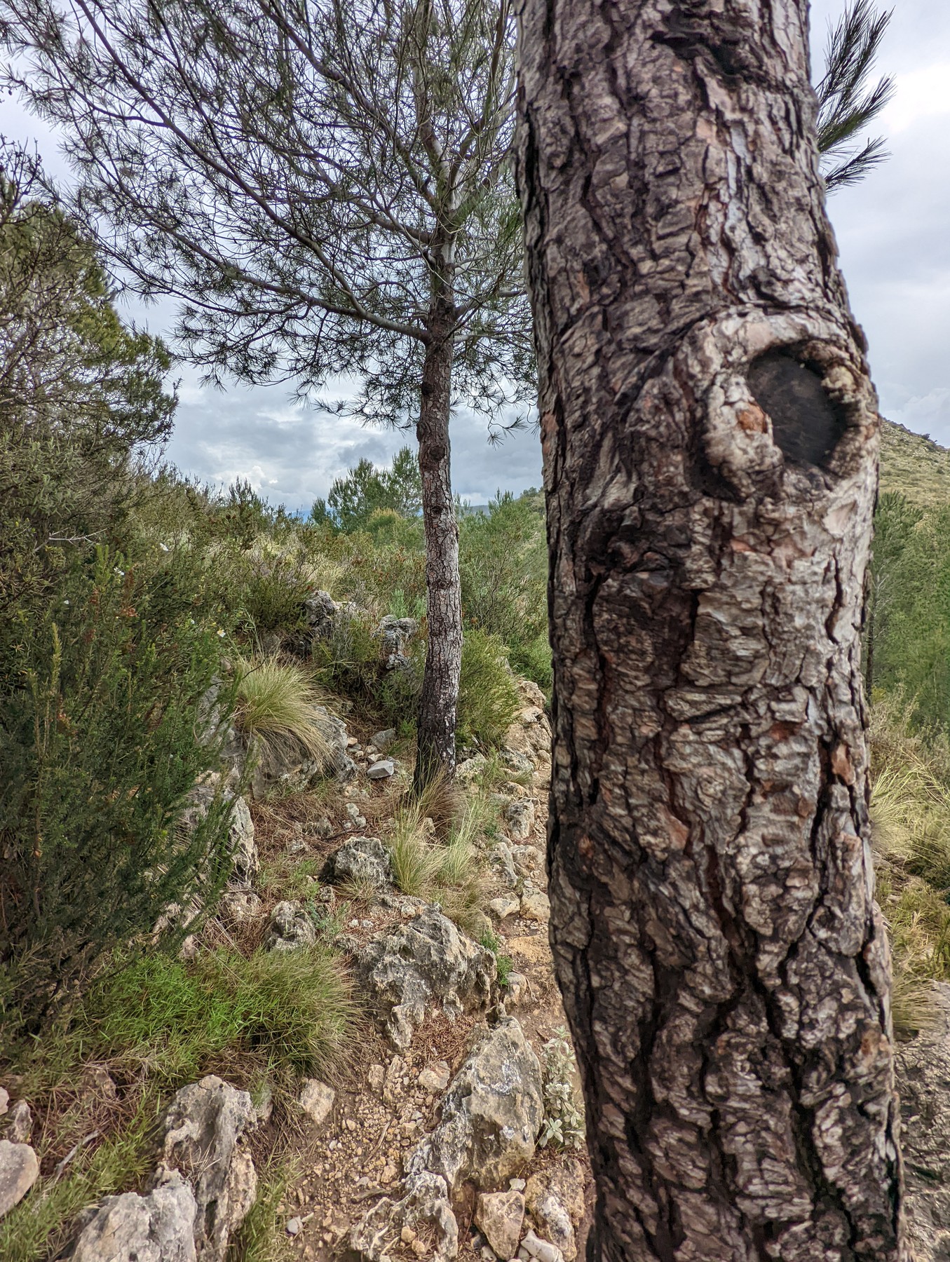 Local hiking Marxuquera